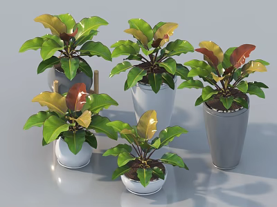 Potted Bonsai Plants With Green And Brown Leaves In White And Gray Pots 3d model
