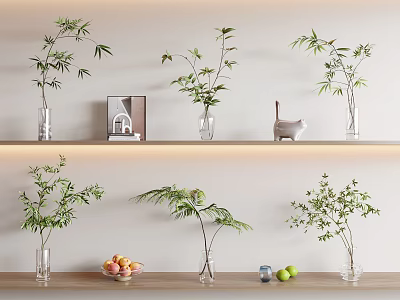 Transparent Vases with Green Plants on Wooden Shelves Small Decor Items Fruits and Water Cup 3d model