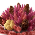 Potted Bonsai Plant With Pink Red Feathery Foliage Pine Cones Yellow Fruits In Beige Container