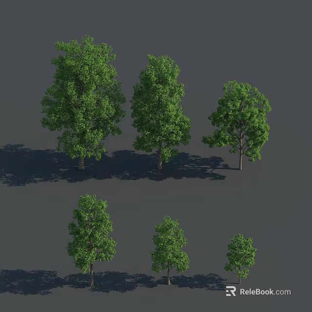Multiple Trees With Green Foliage Varying Heights And Shadow Details On Gray Backdrop 3d model