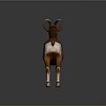 Brown Goat With Curved Horns And White Legs Standing On Neutral Gray Background