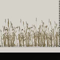 Dried Grasses In White Rectangular Planter Against White Wall With Black Grid Decoration 3d model