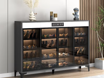 Modern Shoe Cabinet With Glass Doors For Organized Shoe Storage And Decorative Items On Top 3d model