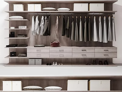 Organized Walk in Closet Interior With Hanging Clothes Shelves Drawers And Shoes 3d model