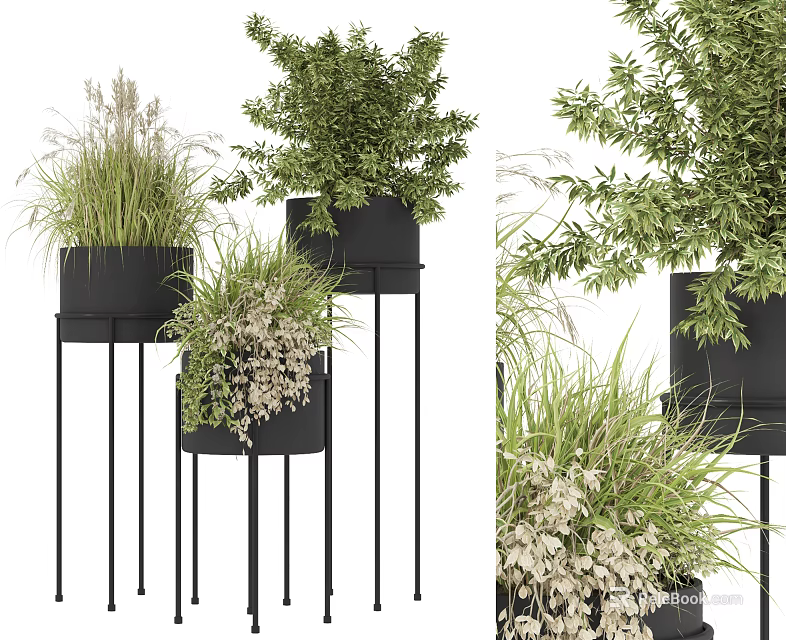 Bonsai Potted Plants With Various Green Foliage In Black Pots On Metal Stands 3d model 