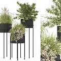 Bonsai Potted Plants With Various Green Foliage In Black Pots On Metal Stands