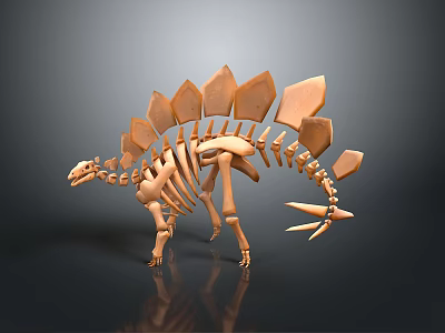 Stegosaurus Skeletal Organ Model With Dorsal Plates And Tail Spikes Structure 3d model