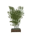 Bamboo SU model 3d model