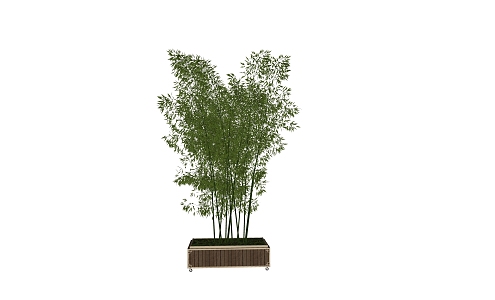 Bamboo SU model 3d model