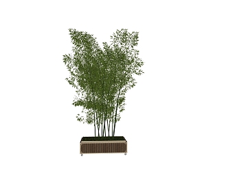 Bamboo SU model 3d model