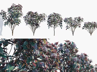 The Modern Tree 3d model