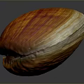 Orange Yellow Striped Shell Shaped Sculpture with Polished Surface and Smooth Texture