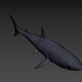 Realistic Great White Shark 3D Model With Lifelike Swimming Pose