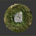 Rustic Wood And Stone Elements In Circular Grassy Setting With Central Large Rock 3d model