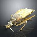 Yellowish Brown Insect With Long Slender Legs On Dark Reflective Background 3d model
