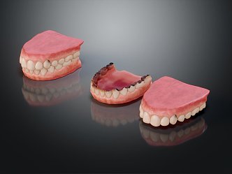 modern denture braces human body 3d model