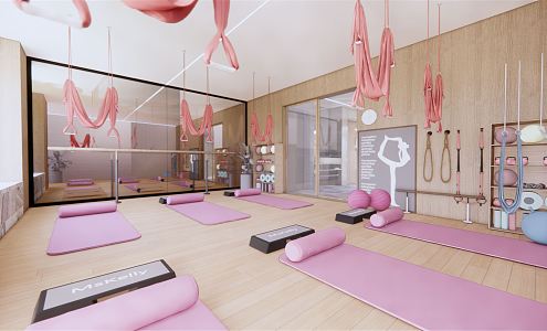 Modern Yoga Room Gym 3d model