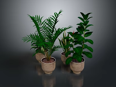 Lush Potted Indoor Plants With Different Leaf Shapes In Light Brown Pots On Dark Surface 3d model