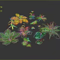 Diverse Colorful Plant Foliage with Various Leaf Shapes and Vibrant Green Hues