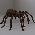 Brown Reptile Model With Detailed Legs Displayed On White Background Surface