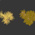 Trees with White Trunks Yellow Leaves and Leafless Branches with Falling Leaves and Silhouette Figure