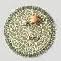 Round carpet 3d model