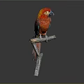 Red Parrot With Vibrant Red And Blue Feathers Perched On Wooden Branch