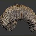 Detailed Spiral Organ Model With Orange Purple Color And Hair Like Textured Surface