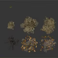 Natural Decorative Household Items With Dried Grass Twigs And Fallen Leaves