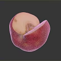 Fresh Red Apple With Bitten Section Juicy Flesh On Gray Background