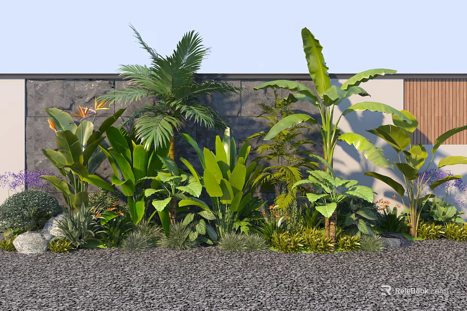 Tropical Plant Combination For Outdoor Garden With Palm Banana Plants And Stone Decor 3d model 