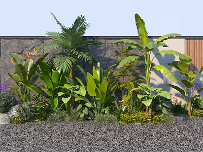 Tropical Plant Combination For Outdoor Garden With Palm Banana Plants And Stone Decor 3d model