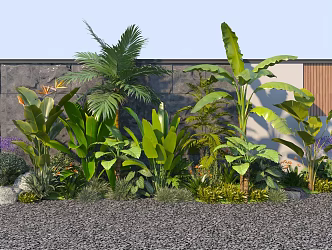 Modern Plant Flower Bird of Paradise Plantain Palm Green Plant Combination 3d model