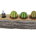 Natural Wooden Log Planter with Three Potted Cacti and Decorative Bottle