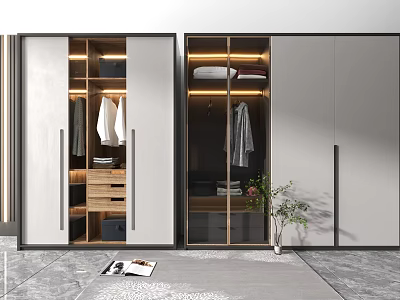 Modern Wardrobe Interior With Open Glass Door Storage Drawers Hanging Space Gray Floor Plant Decor 3d model