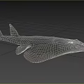 Sawfish Aquatic Animal With Flat Body And Long Saw Like Snout In Ocean Water