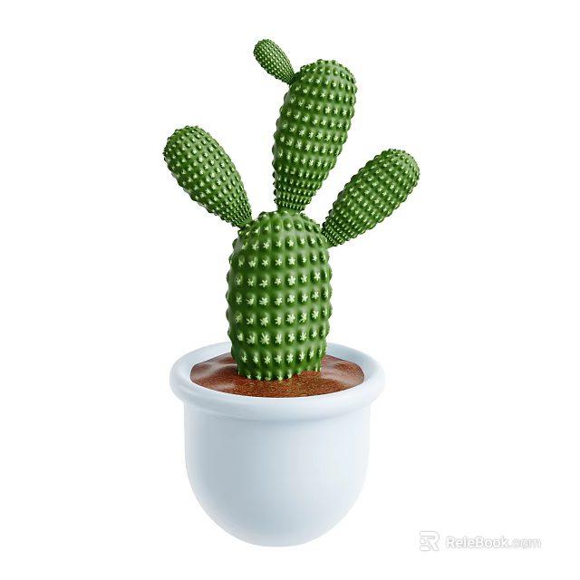 Indoor Green Decorative Cactus Plant in White Pot with Brown Soil 3d model 