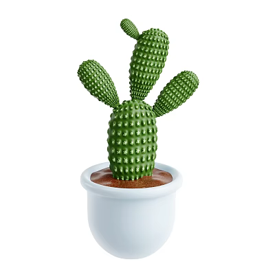 Indoor Green Decorative Cactus Plant in White Pot with Brown Soil 3d model