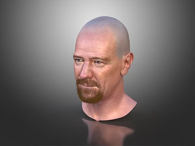 Realistic 3D Character Male Head Model With Bald Head Beard And Detailed Facial Features 3d model