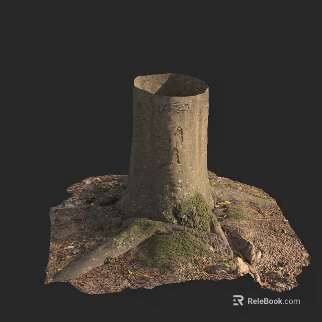 Rustic Stone Wood Stump With Moss Covered Roots And Natural Ground 3d model 