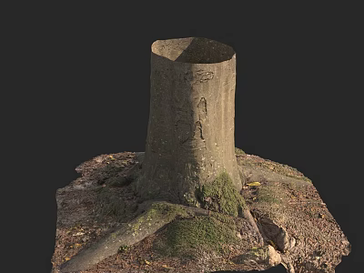 Rustic Stone Wood Stump With Moss Covered Roots And Natural Ground 3d model