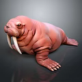 Pink Walrus 3D Model With Long White Tusks On Dark Background