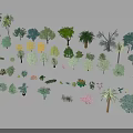 Various Types of Trees With Different Colors and Species 3D Model Collection