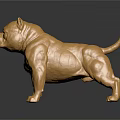 Golden Bulldog Statue Shiny Metallic Finish Standing Pose With Reflection On Black Surface