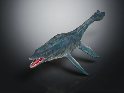 Realistic Prehistoric Ichthyosaur Marine Reptile With Open Mouth Sharp Teeth Long Tail And Flippers 3d model