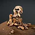 Scattered Ancient Skeleton Remains With Limb Bones And Skull On Earth Mound