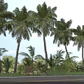 Tall Palm Trees Lining Roadside Under Clear Blue Sky With Green Foliage