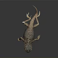 Lizard Anime Lizard Chameleon Cartoon Lizard Reptile Cold Blooded Animal Reptile Class 3d model