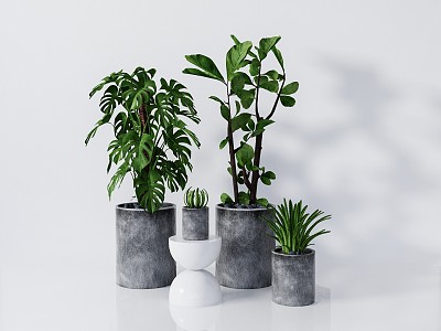 modern potted plant green plant potted plant model