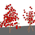 Red Berries On Wooden Stems For Festive Home Decor Accents